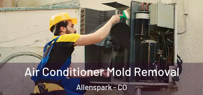 Air Conditioner Mold Removal Allenspark - CO