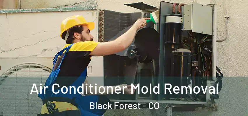  Air Conditioner Mold Removal Black Forest - CO