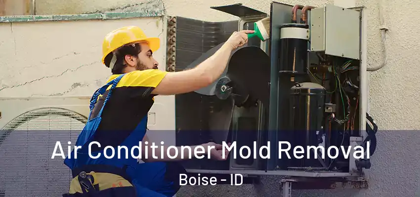  Air Conditioner Mold Removal Boise - ID