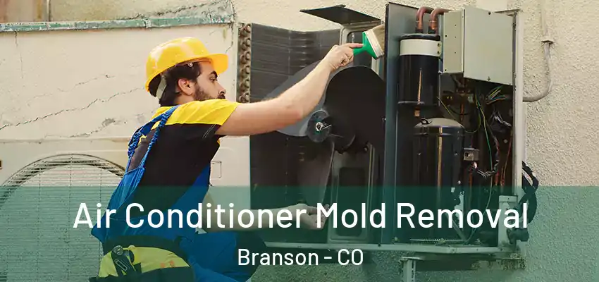  Air Conditioner Mold Removal Branson - CO