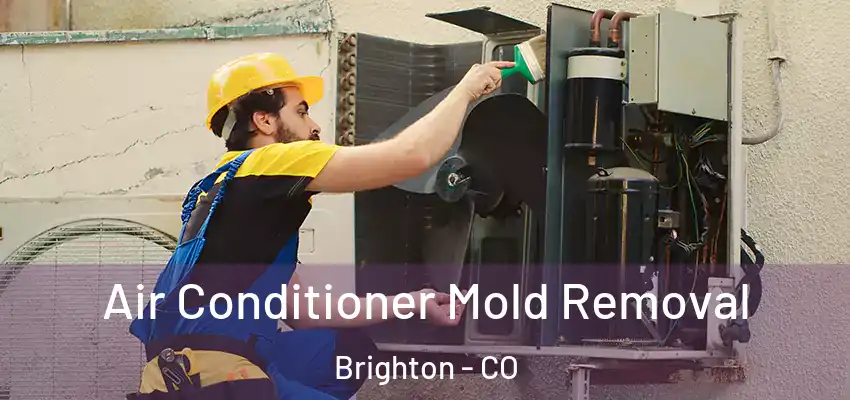  Air Conditioner Mold Removal Brighton - CO