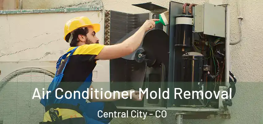  Air Conditioner Mold Removal Central City - CO