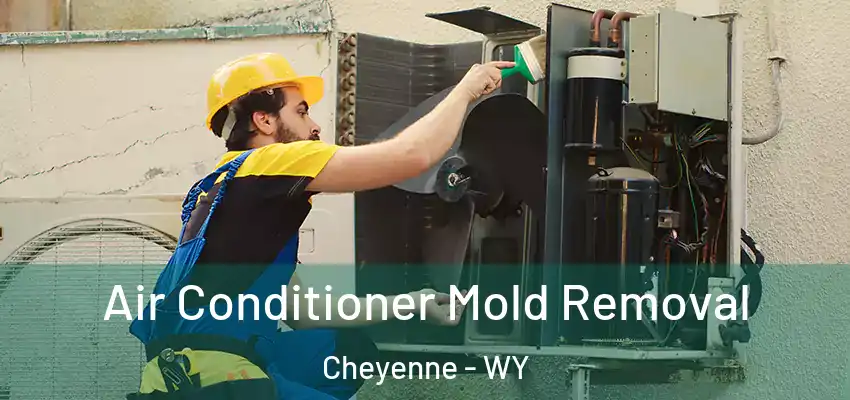  Air Conditioner Mold Removal Cheyenne - WY