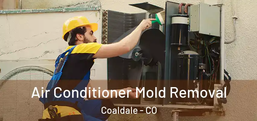  Air Conditioner Mold Removal Coaldale - CO