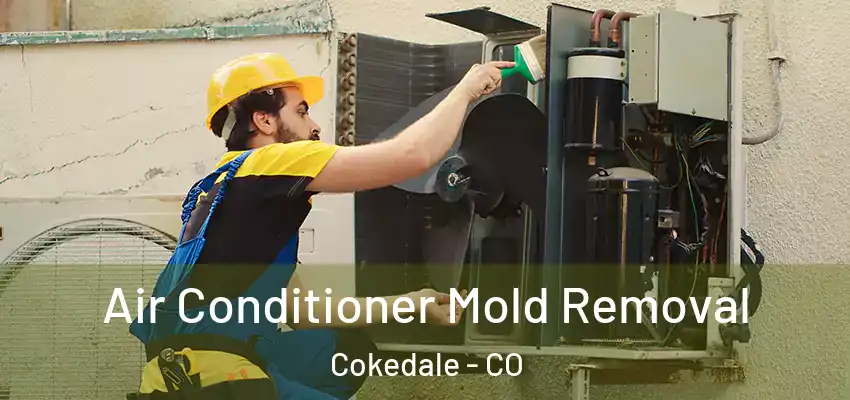  Air Conditioner Mold Removal Cokedale - CO