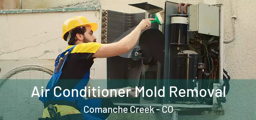  Air Conditioner Mold Removal Comanche Creek - CO