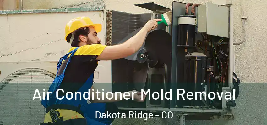  Air Conditioner Mold Removal Dakota Ridge - CO