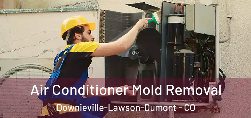  Air Conditioner Mold Removal Downieville-Lawson-Dumont - CO