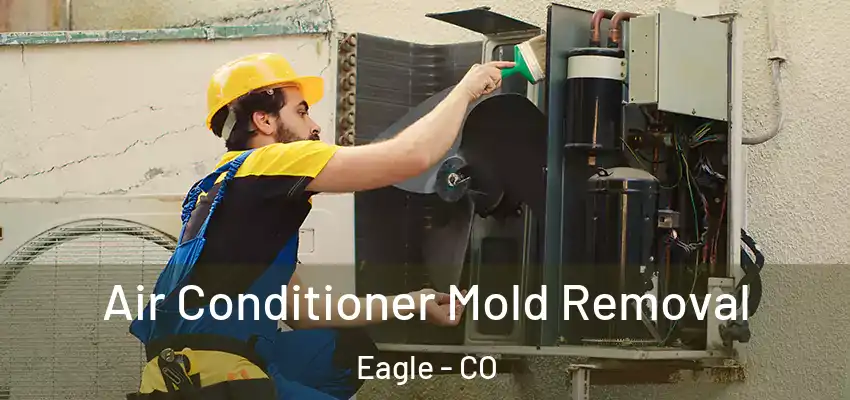 Air Conditioner Mold Removal Eagle - CO
