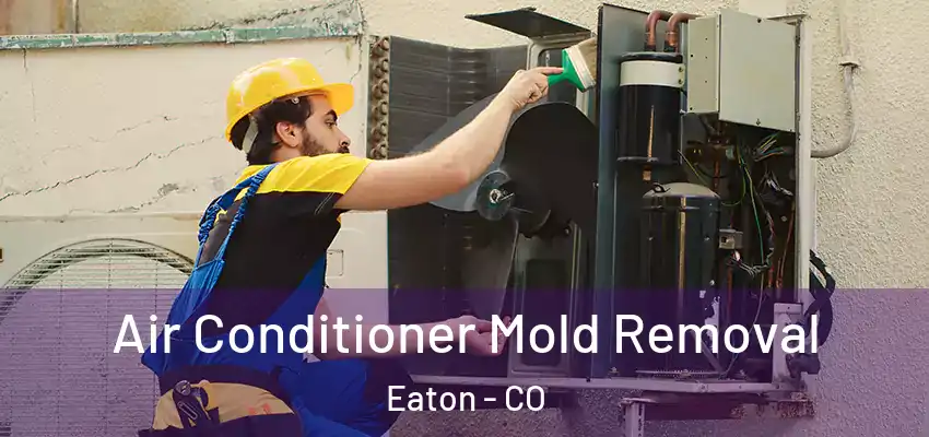  Air Conditioner Mold Removal Eaton - CO