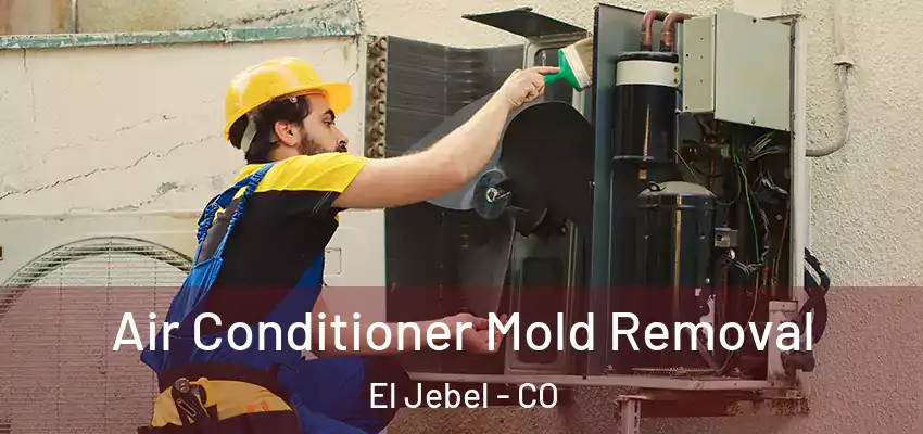  Air Conditioner Mold Removal El Jebel - CO