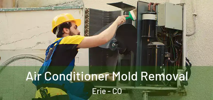  Air Conditioner Mold Removal Erie - CO