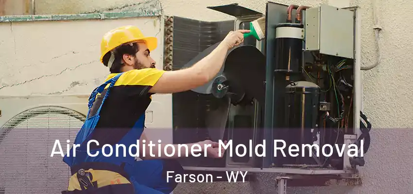 Air Conditioner Mold Removal Farson - WY