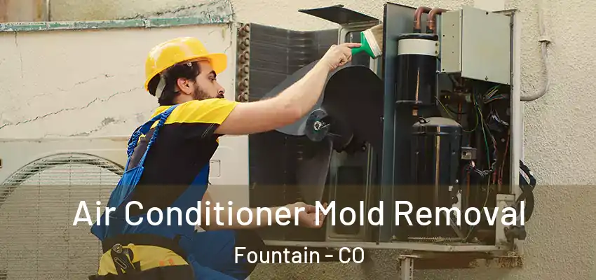  Air Conditioner Mold Removal Fountain - CO