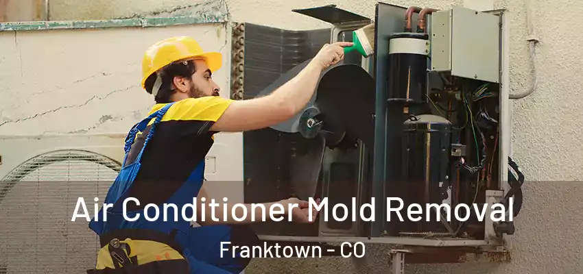 Air Conditioner Mold Removal Franktown - CO