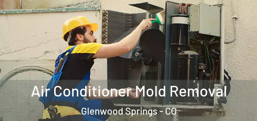  Air Conditioner Mold Removal Glenwood Springs - CO