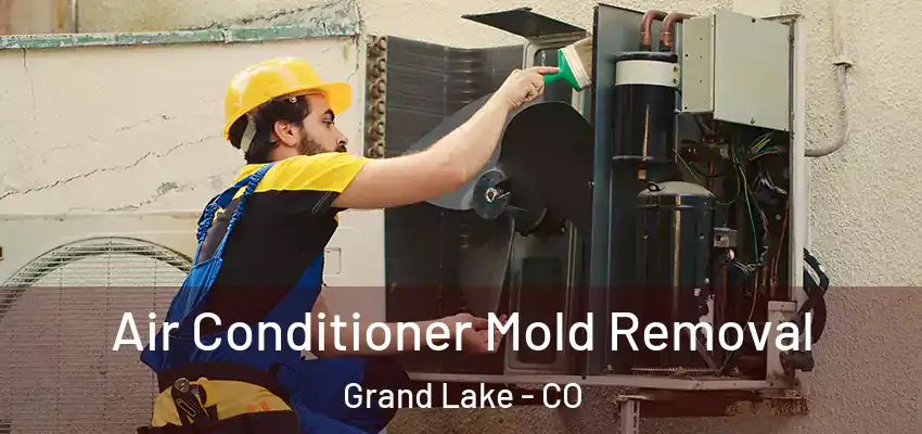  Air Conditioner Mold Removal Grand Lake - CO