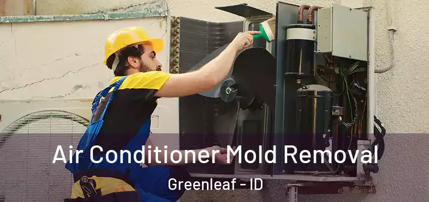 Air Conditioner Mold Removal Greenleaf - ID