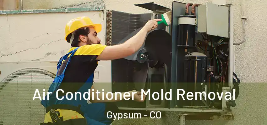  Air Conditioner Mold Removal Gypsum - CO