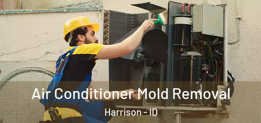 Air Conditioner Mold Removal Harrison - ID