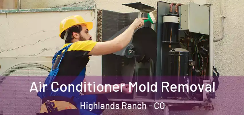 Air Conditioner Mold Removal Highlands Ranch - CO