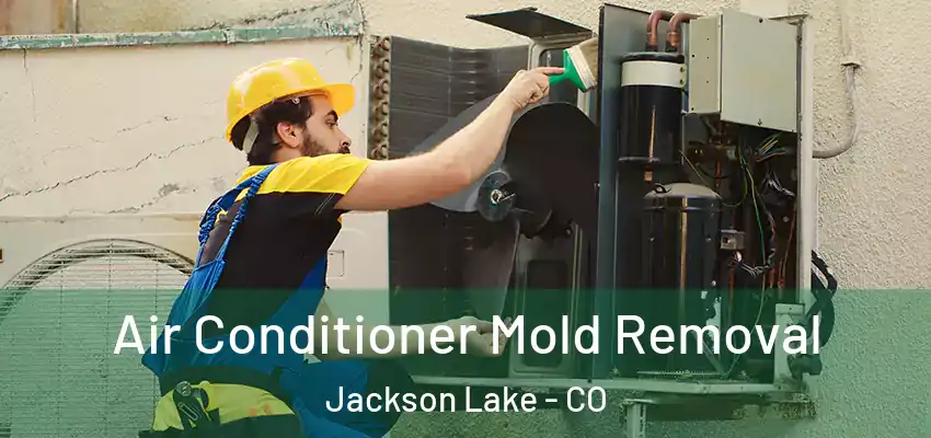  Air Conditioner Mold Removal Jackson Lake - CO