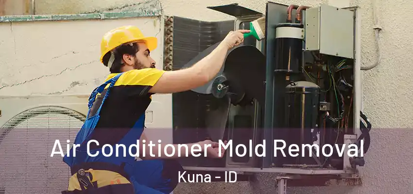  Air Conditioner Mold Removal Kuna - ID