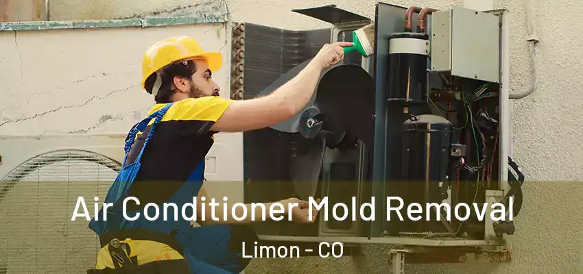 Air Conditioner Mold Removal Limon - CO