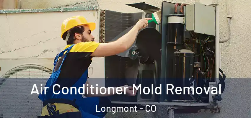 Air Conditioner Mold Removal Longmont - CO