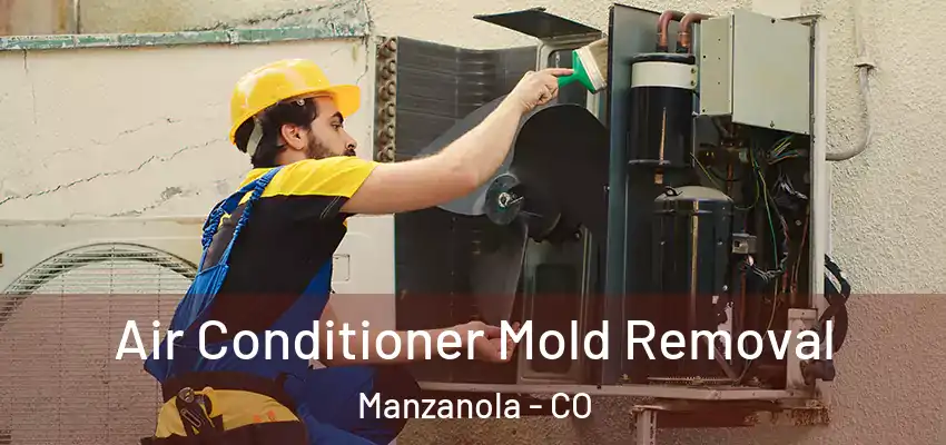  Air Conditioner Mold Removal Manzanola - CO