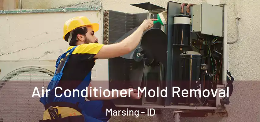  Air Conditioner Mold Removal Marsing - ID