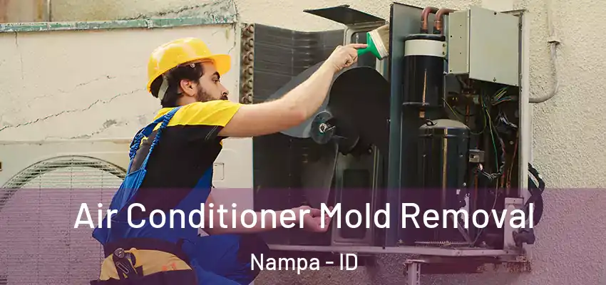 Air Conditioner Mold Removal Nampa - ID