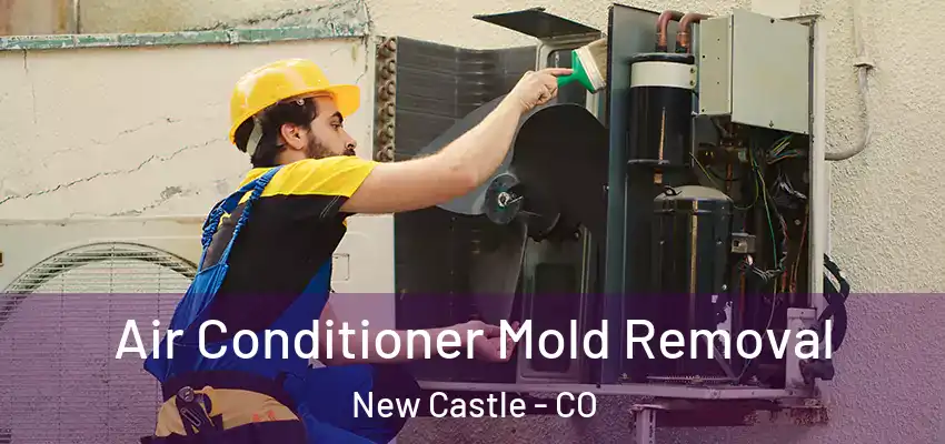  Air Conditioner Mold Removal New Castle - CO