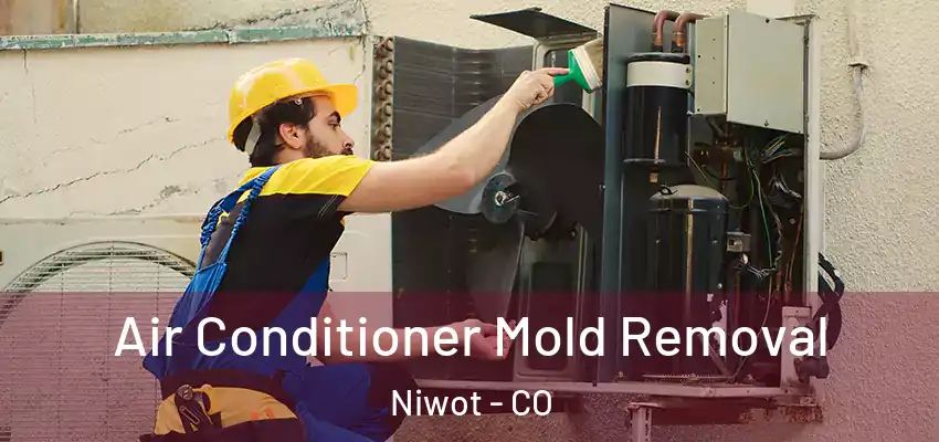  Air Conditioner Mold Removal Niwot - CO