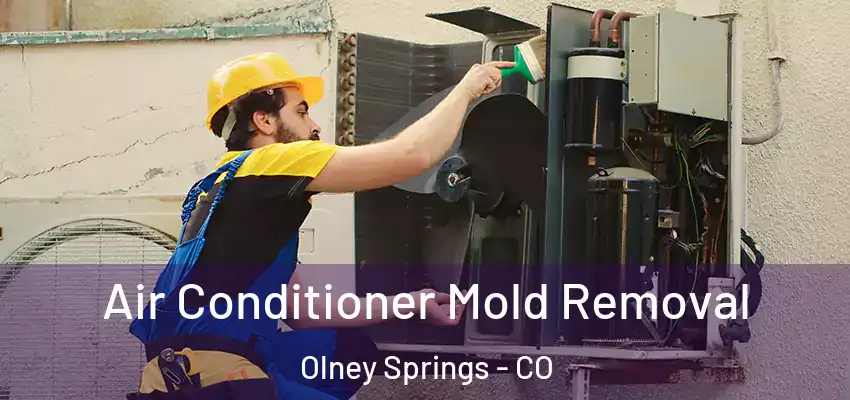  Air Conditioner Mold Removal Olney Springs - CO