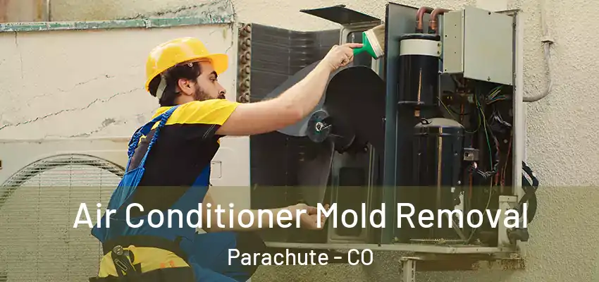  Air Conditioner Mold Removal Parachute - CO