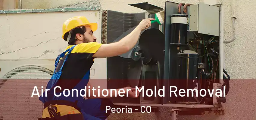  Air Conditioner Mold Removal Peoria - CO