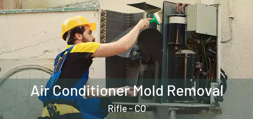 Air Conditioner Mold Removal Rifle - CO