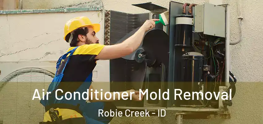  Air Conditioner Mold Removal Robie Creek - ID