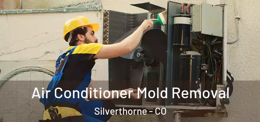 Air Conditioner Mold Removal Silverthorne - CO