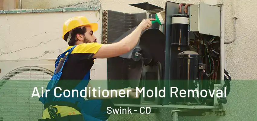 Air Conditioner Mold Removal Swink - CO