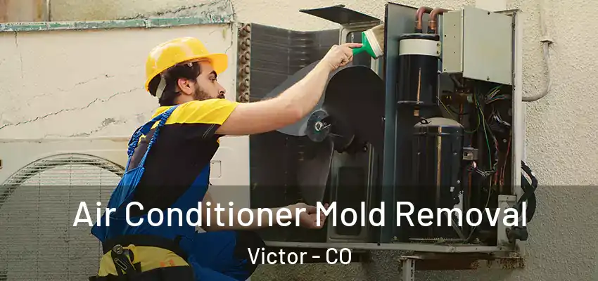  Air Conditioner Mold Removal Victor - CO