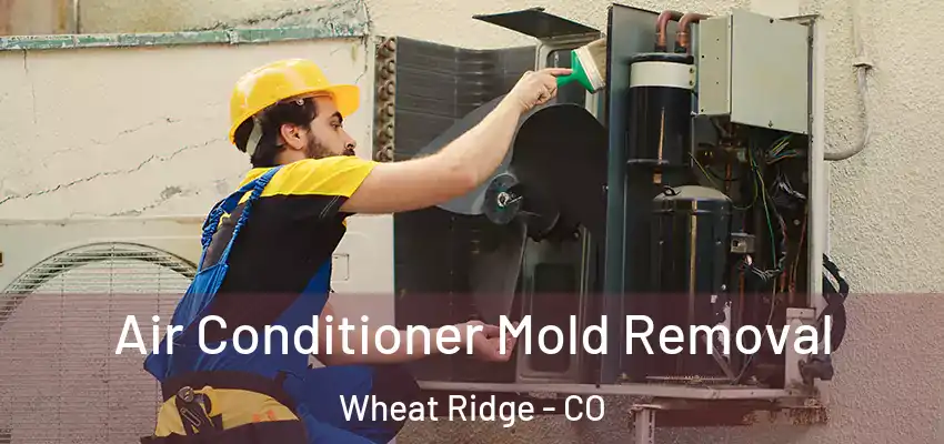  Air Conditioner Mold Removal Wheat Ridge - CO