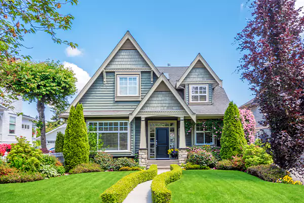 Black Mold Clean Up in Boise, ID