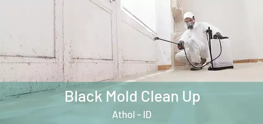 Black Mold Clean Up Athol - ID