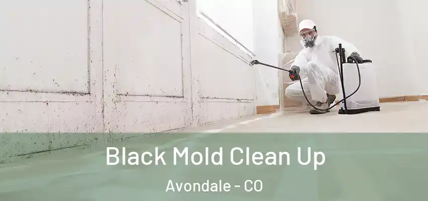  Black Mold Clean Up Avondale - CO