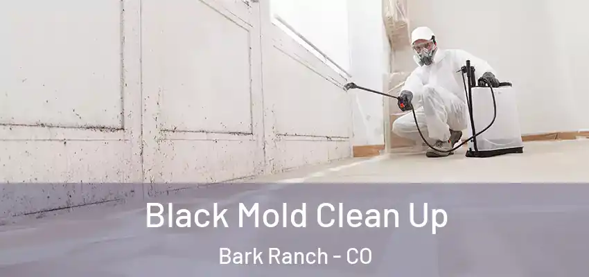  Black Mold Clean Up Bark Ranch - CO