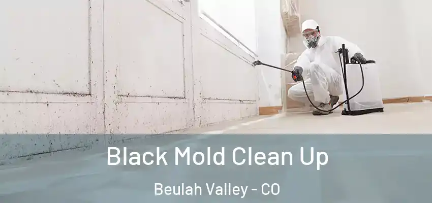  Black Mold Clean Up Beulah Valley - CO
