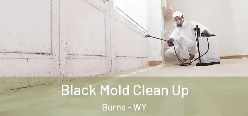  Black Mold Clean Up Burns - WY