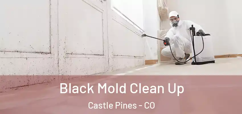 Black Mold Clean Up Castle Pines - CO